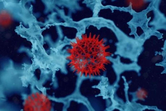 Composto pode evitar que células cancerosas se espalhem pelo corpo