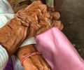 Idosa é estuprada e agredida pelo próprio filho em Delmiro Gouveia