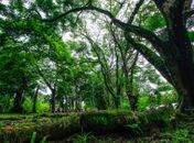 Parque do Horto, situado no Farol, terá programação especial no próximo sábado (26)