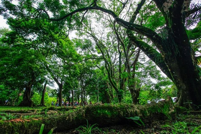 Parque do Horto, situado no Farol, terá programação especial no próximo sábado (26)