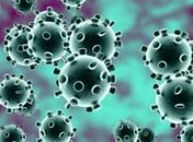 Arapiraca registra mais de 110 casos confirmados de Covid-19 nas últimas 24 horas