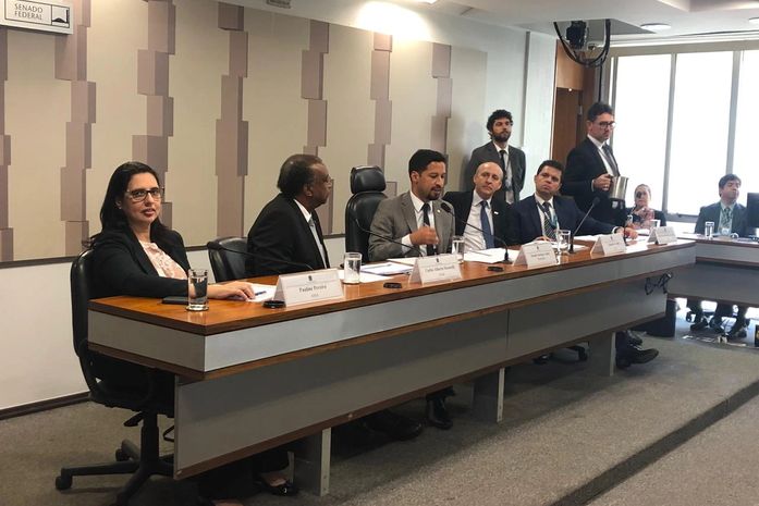 Vice-presidente Pauline representa AMA em audiência pública no Senado