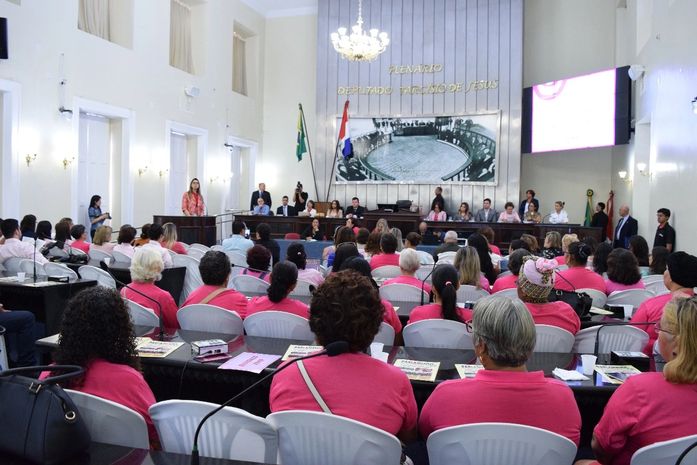 Prevenção e tratamento do câncer de mama são debatidos em audiência pública