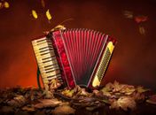 Forró das antigas e “breganejo” encerram projeto Arte que Te Quero Viva nesta sexta-feira (11)
