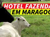 Bora | Maragogi não é só praia !