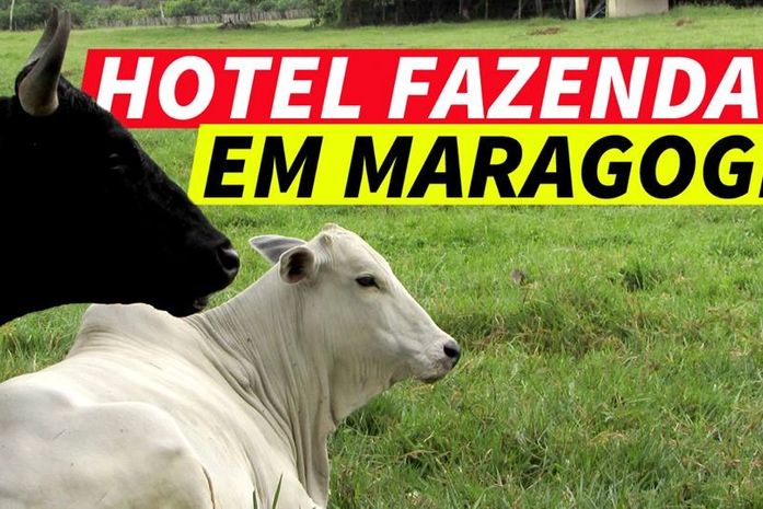 Bora | Maragogi não é só praia !