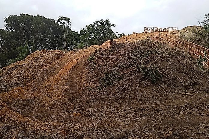 Movimentos denunciam desmatamento de vegetação nativa para construção da Linha Verde em Maceió
