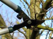 Autorização para o serviço deve ser expedida pela Sudes