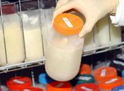 Brasil exporta projeto de bancos de leite para parceiros do Brics