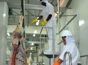 Impasse entre marchantes e FrigoVale será decidido pelo MP terça-feira, 12 