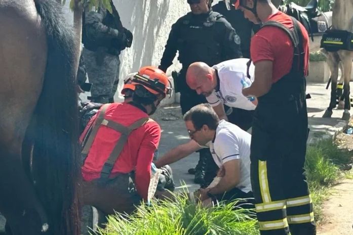 Policial militar fica ferido ao cair do cavalo antes da final do Campeonato Alagoano