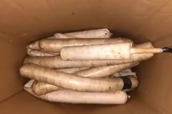 Explosivos foram encontrados enterrados em um sítio