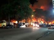 Incêndio   atinge área de vegetação em Palmeira dos Índios
