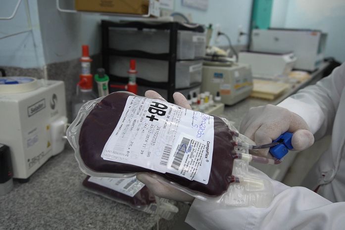 Banco de Sangue: Santa Casa de Maceió tem estoque crítico e alerta para risco de suspensão de procedimentos
