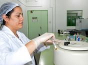 Teste rápido de zika irá assegurar a realização do exame em tempo oportuno