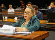 Rosinha da Adefal aprova projeto de Lei que isenta do IPI equipamentos destinados às pessoas com deficiência