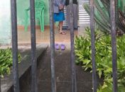 Polícia Civil apura denúncia de maus-tratos contra idosa de 91 anos em União dos Palmares