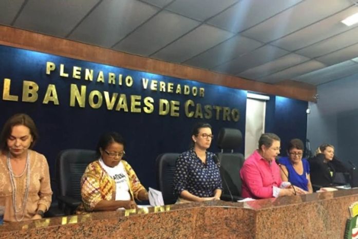 Artesãos cobram mais apoio do poder público durante audiência na Câmara