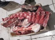 Frigorífico é interditado no Jacintinho após fiscalização encontrar 80 kg de carne estragada 