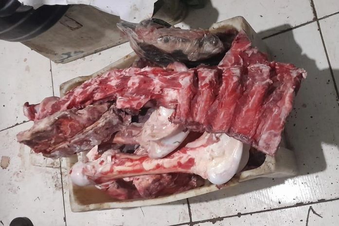 Frigorífico é interditado no Jacintinho após fiscalização encontrar 80 kg de carne estragada