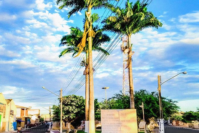 Município de Campo Grande