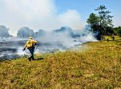 Crise climática é o pior desafio da história humana, diz cientista

