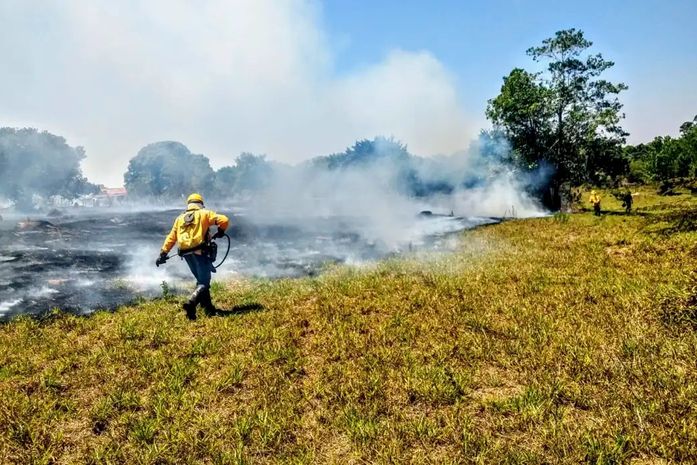 Crise climática é o pior desafio da história humana, diz cientista