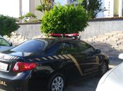 Operação da PF em AL mira grupo que incentivou atos contra resultado da eleição de 2018