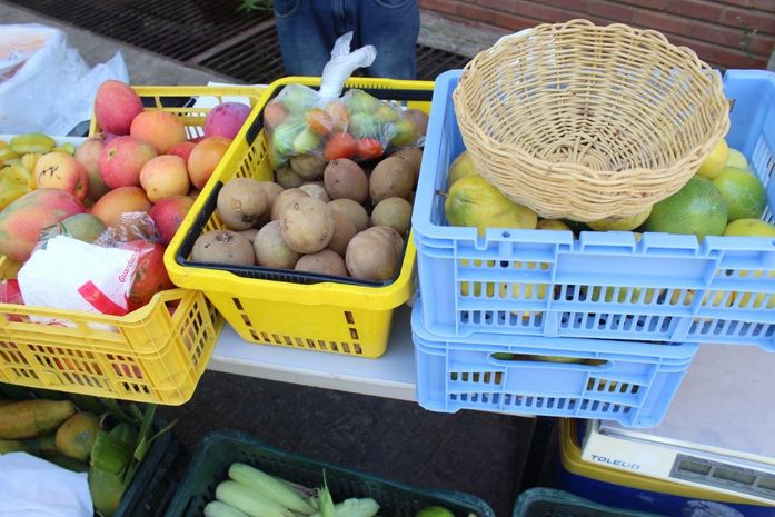 Feira Orgânica da Semarh