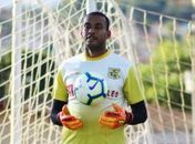 ASA anuncia goleiro Edmar Sucuri e atacante Cristiano Robert; Confira as nove contratações do alvinegro