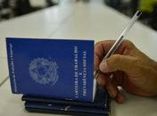 Criação de empregos formais em novembro atinge maior nível desde 2010