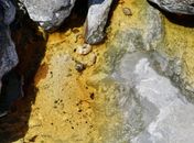 INTERMARÍTIMA: terminal é interditado na Bahia após contaminação em praia; empresa já foi multada por poluição ambiental em Maceió