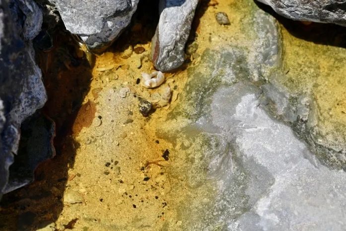 INTERMARÍTIMA: terminal é interditado na Bahia após contaminação em praia; empresa já foi multada por poluição ambiental em Maceió