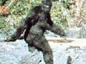 Estado americano oferece recompensa de quase US$ 4 milhões por captura do 'Pé Grande'