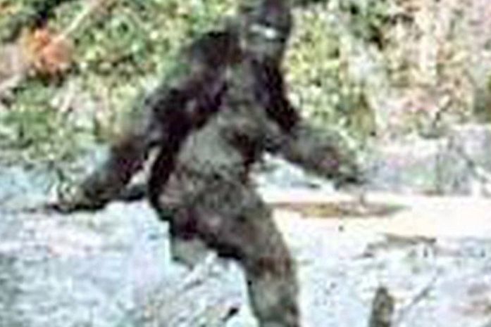 Estado americano oferece recompensa de quase US$ 4 milhões por captura do 'Pé Grande'