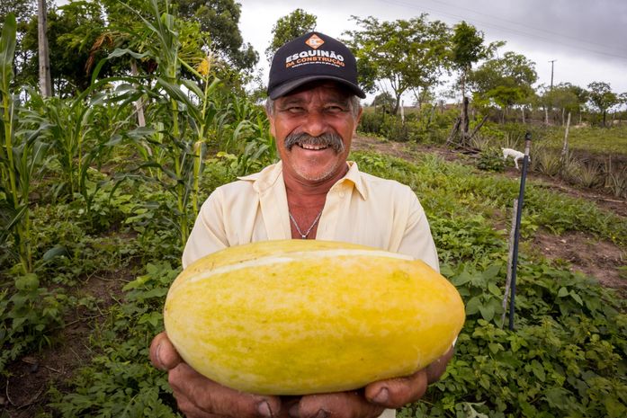 Acesso ao Cadastro Ambiental Rural será feito pelo Gov.br a partir de quinta-feira (19)