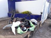 Peças apreendidas no local onde funcionava um desmanche de veículos