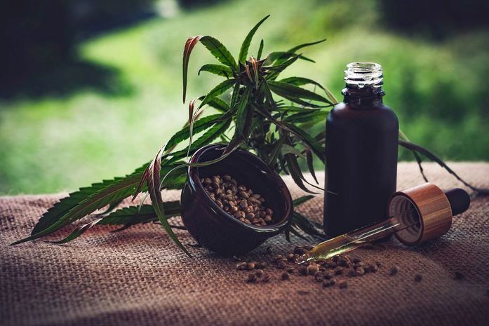 STJ autoriza três pacientes a cultivarem cannabis para fins medicinais
