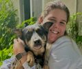 Outubro Rosa também é para pets: campanha alerta para prevenção do câncer de mama em cães e gatos, explica especialista