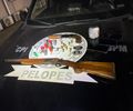 2º Batalhão da PM prende suspeito de tráfico e posse ilegal de armas em União dos Palmares