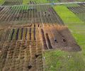 Geração de Renda: Em São Miguel, Projeto de Horta Urbana Sustentável promove ingresso de  Agricultores no PNAE