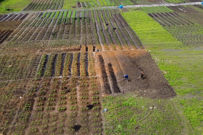 Geração de Renda: Em São Miguel, Projeto de Horta Urbana Sustentável promove ingresso de Agricultores no PNAE