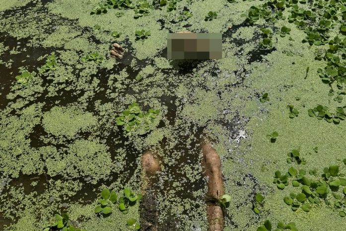 Trabalhador é morto com mais de 30 facadas e pescoço degolado; três suspeitos são detidos