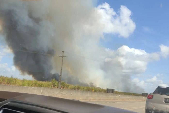 Incêndios em canaviais provocou nuvem de fumaça em partes da cidade de Arapiraca

