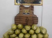 Operação apreende 25kg de maconha em imóvel no Agreste de Alagoas