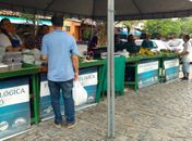 Feira Agroecológica do Mercado do Jaraguá ocorre todas as sextas