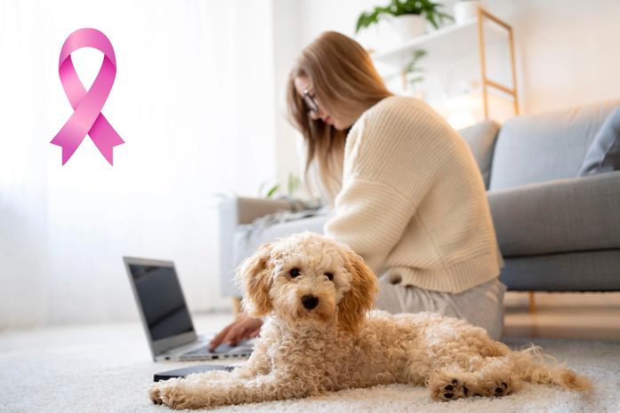 Outubro Rosa Pet: especialista destaca importância do diagnóstico precoce