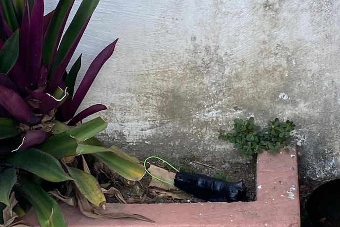 Artefato encontrado no Farol