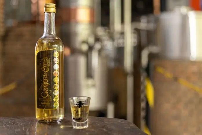 Dia da Cachaça brinda sucesso de roteiro que coloca o Agreste alagoano no mapa turístico do país