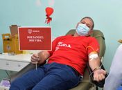 Doação de sangue no Hemoal